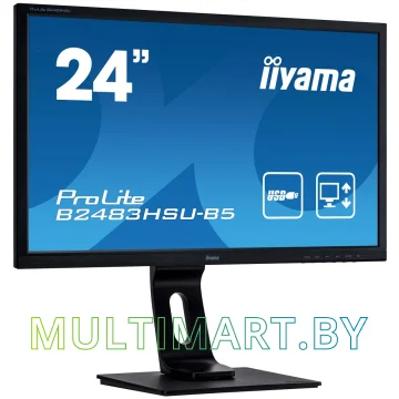 Монитор Iiyama ProLite B2483HSU-B5 картинка 2